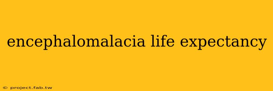 encephalomalacia life expectancy