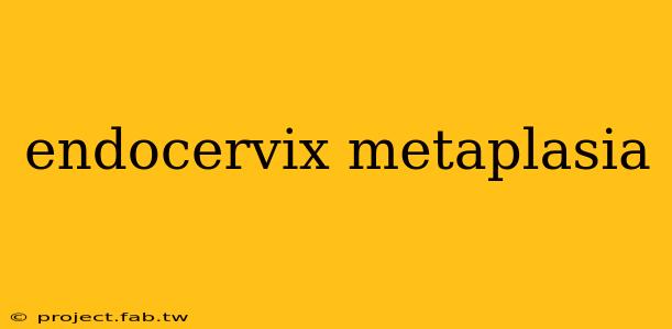 endocervix metaplasia