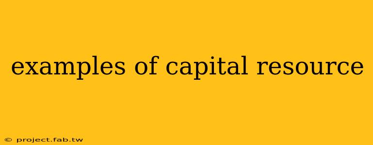 examples of capital resource