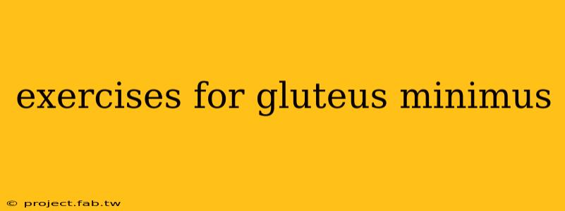 exercises for gluteus minimus