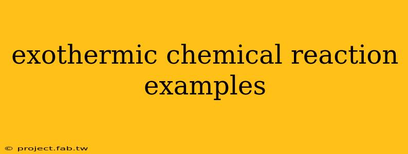 exothermic chemical reaction examples