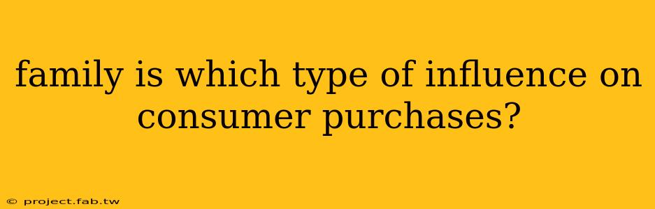 family is which type of influence on consumer purchases?