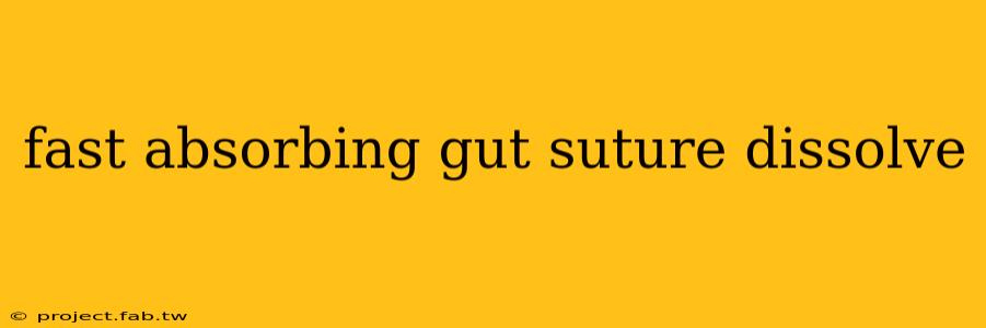 fast absorbing gut suture dissolve