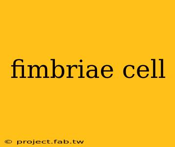 fimbriae cell