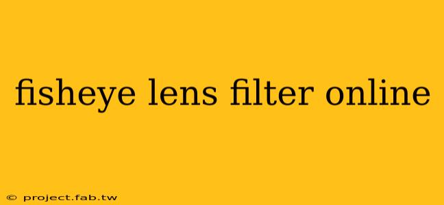 fisheye lens filter online