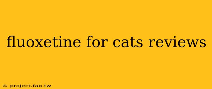 fluoxetine for cats reviews