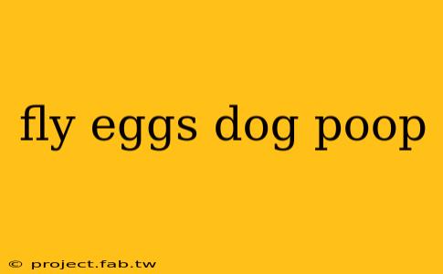 fly eggs dog poop