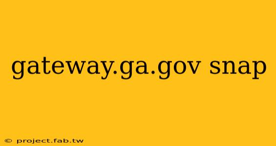 gateway.ga.gov snap