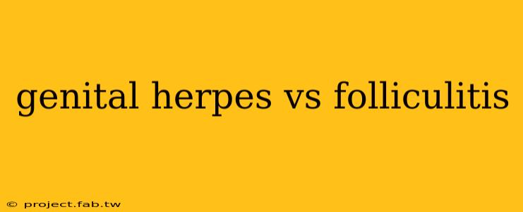 genital herpes vs folliculitis