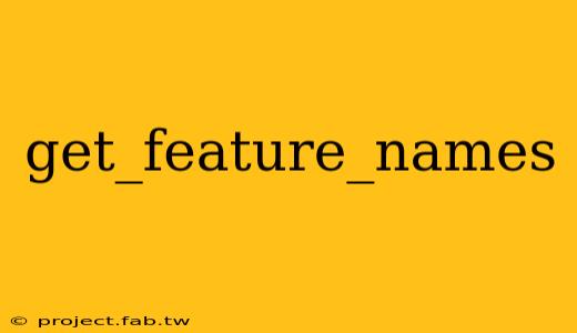 get_feature_names