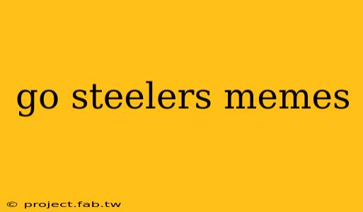 go steelers memes