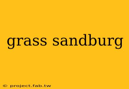 grass sandburg