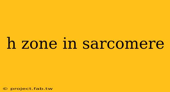 h zone in sarcomere