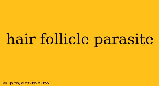 hair follicle parasite