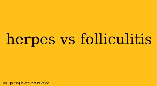 herpes vs folliculitis