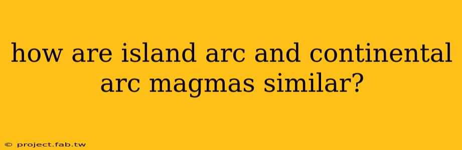 how are island arc and continental arc magmas similar?