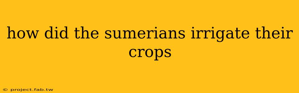 how did the sumerians irrigate their crops