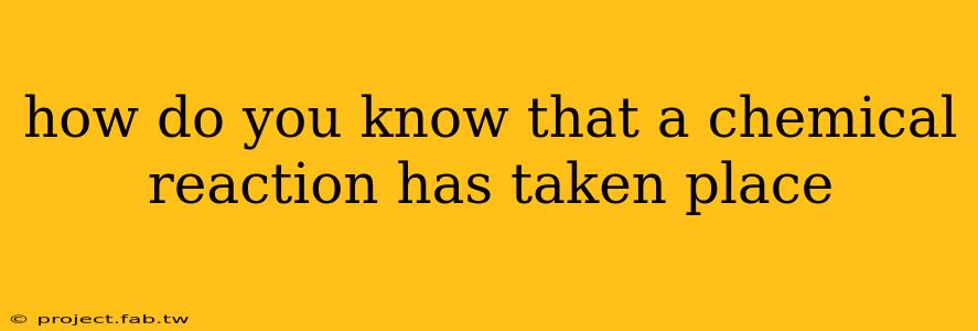 how do you know that a chemical reaction has taken place