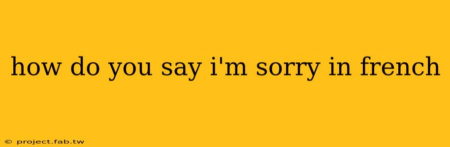 how do you say i'm sorry in french