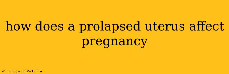 how does a prolapsed uterus affect pregnancy