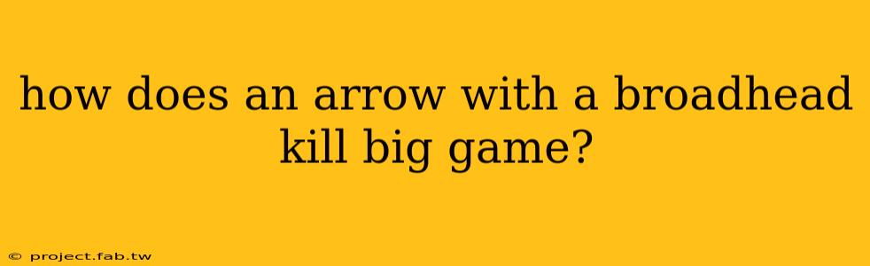 how does an arrow with a broadhead kill big game?