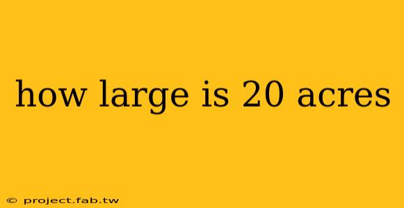 how large is 20 acres