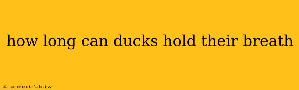 how long can ducks hold their breath