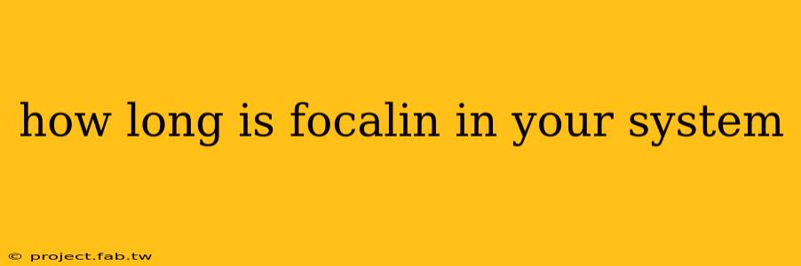 how long is focalin in your system