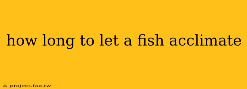 how long to let a fish acclimate