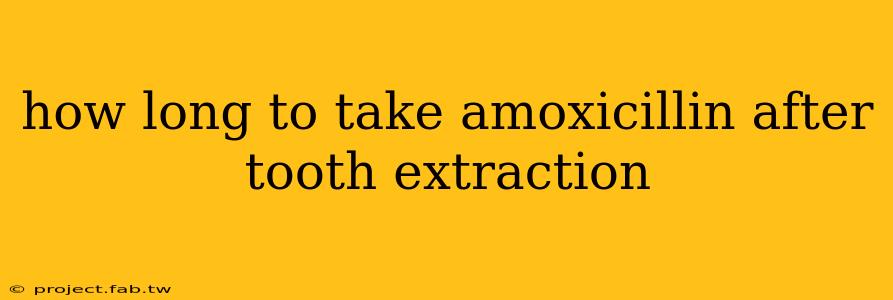 how long to take amoxicillin after tooth extraction