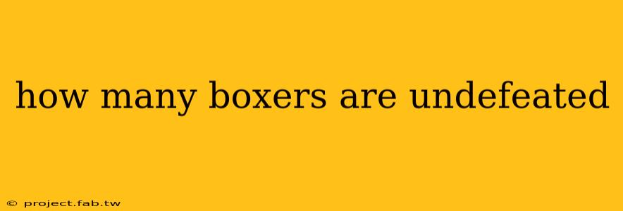 how many boxers are undefeated