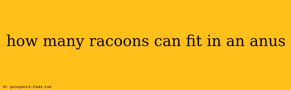 how many racoons can fit in an anus