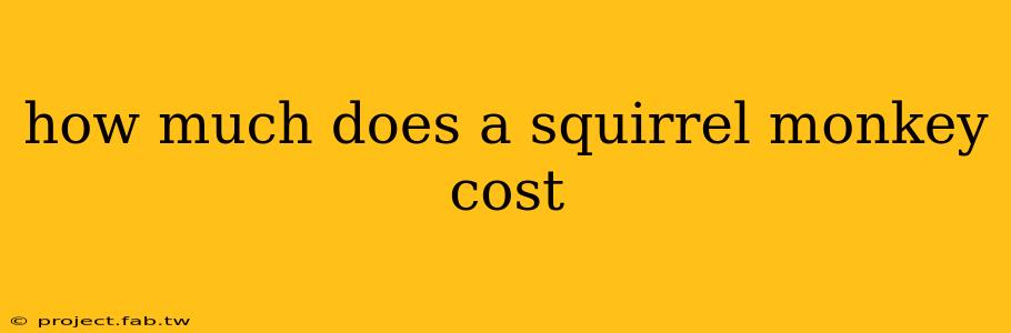 how much does a squirrel monkey cost