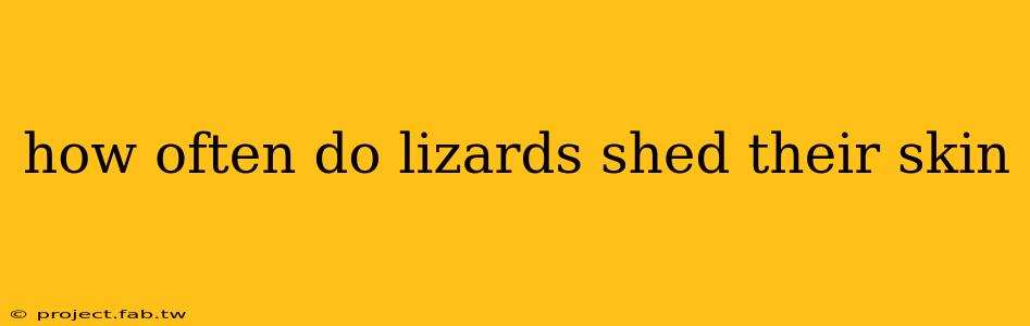 how often do lizards shed their skin