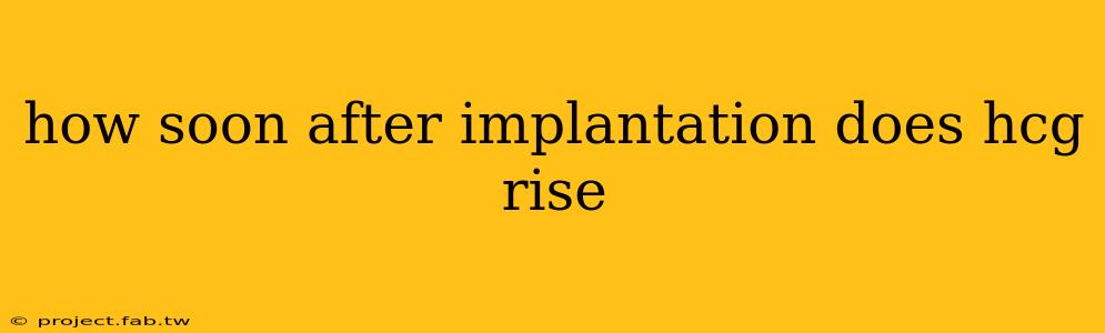 how soon after implantation does hcg rise