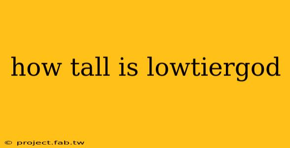 how tall is lowtiergod