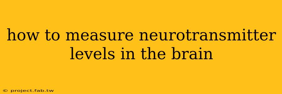 how to measure neurotransmitter levels in the brain