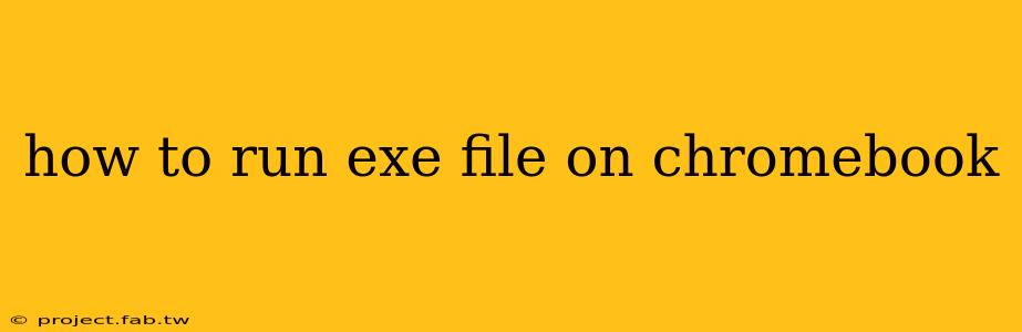 how to run exe file on chromebook