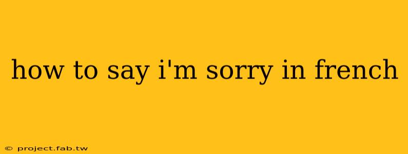 how to say i'm sorry in french