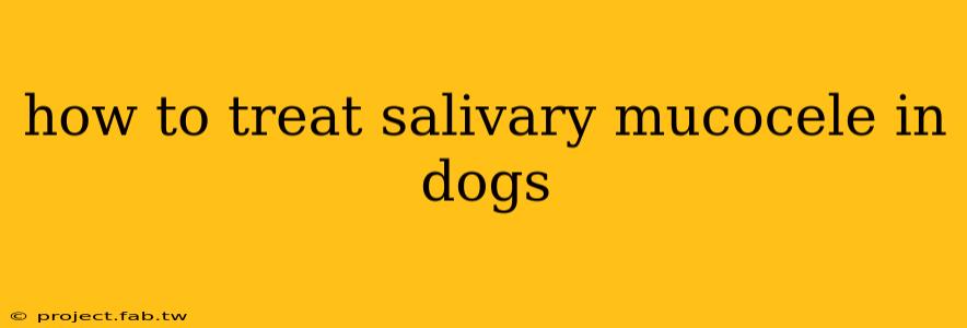 how to treat salivary mucocele in dogs