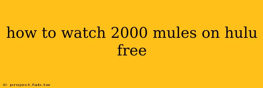 how to watch 2000 mules on hulu free