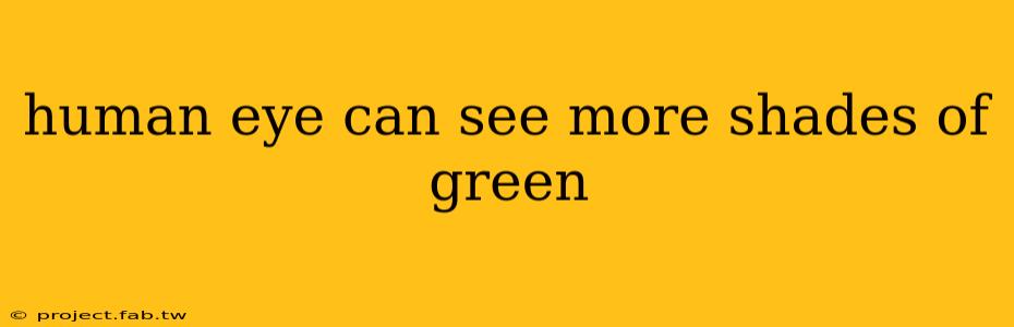 human eye can see more shades of green