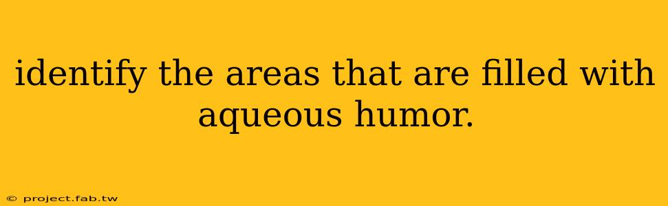 identify the areas that are filled with aqueous humor.