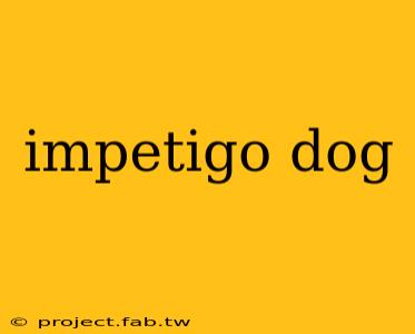 impetigo dog