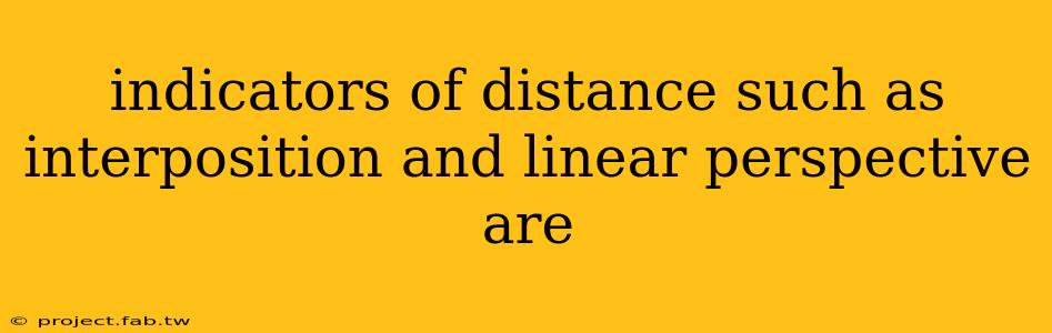 indicators of distance such as interposition and linear perspective are