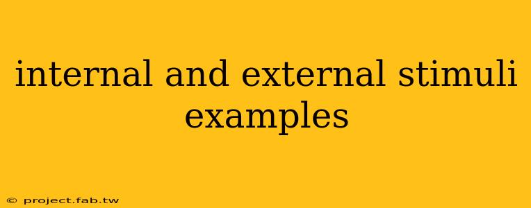 internal and external stimuli examples