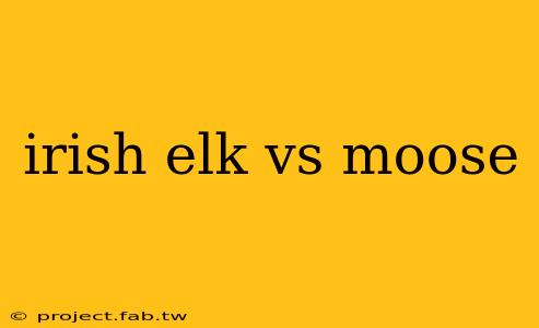 irish elk vs moose