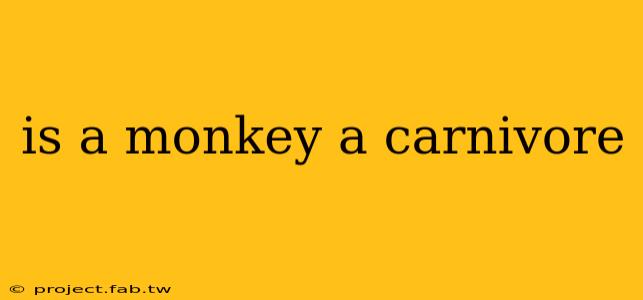 is a monkey a carnivore