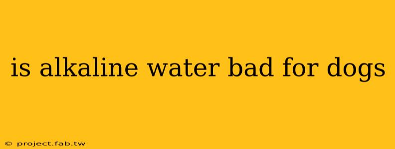 is alkaline water bad for dogs