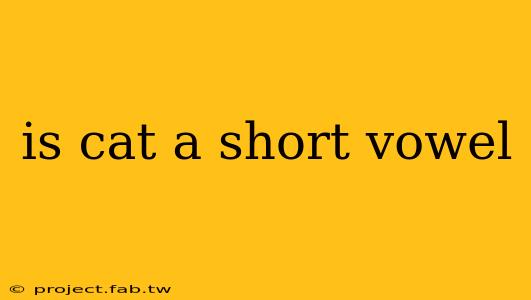 is cat a short vowel